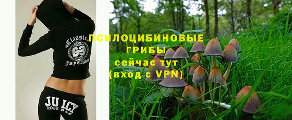 ПСИЛОЦИБИНОВЫЕ ГРИБЫ Алексеевка