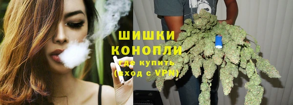 ПСИЛОЦИБИНОВЫЕ ГРИБЫ Алексеевка